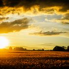 Lausitz oder Masuren