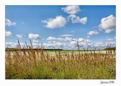 Lausitzer Landschaft