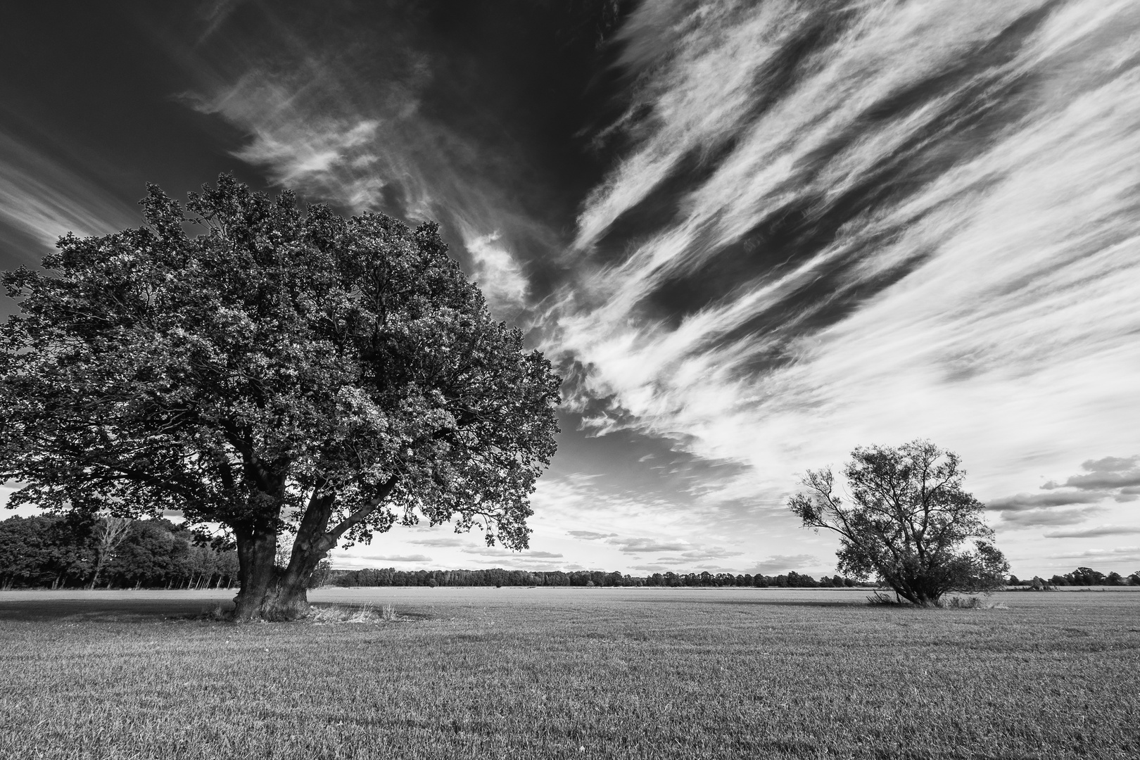 Lausitzer Landschaft