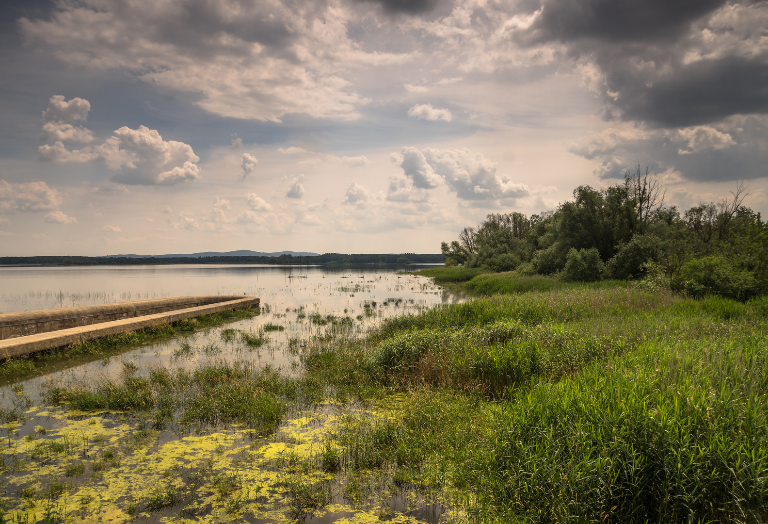 Lausitzer Seenlandschaft