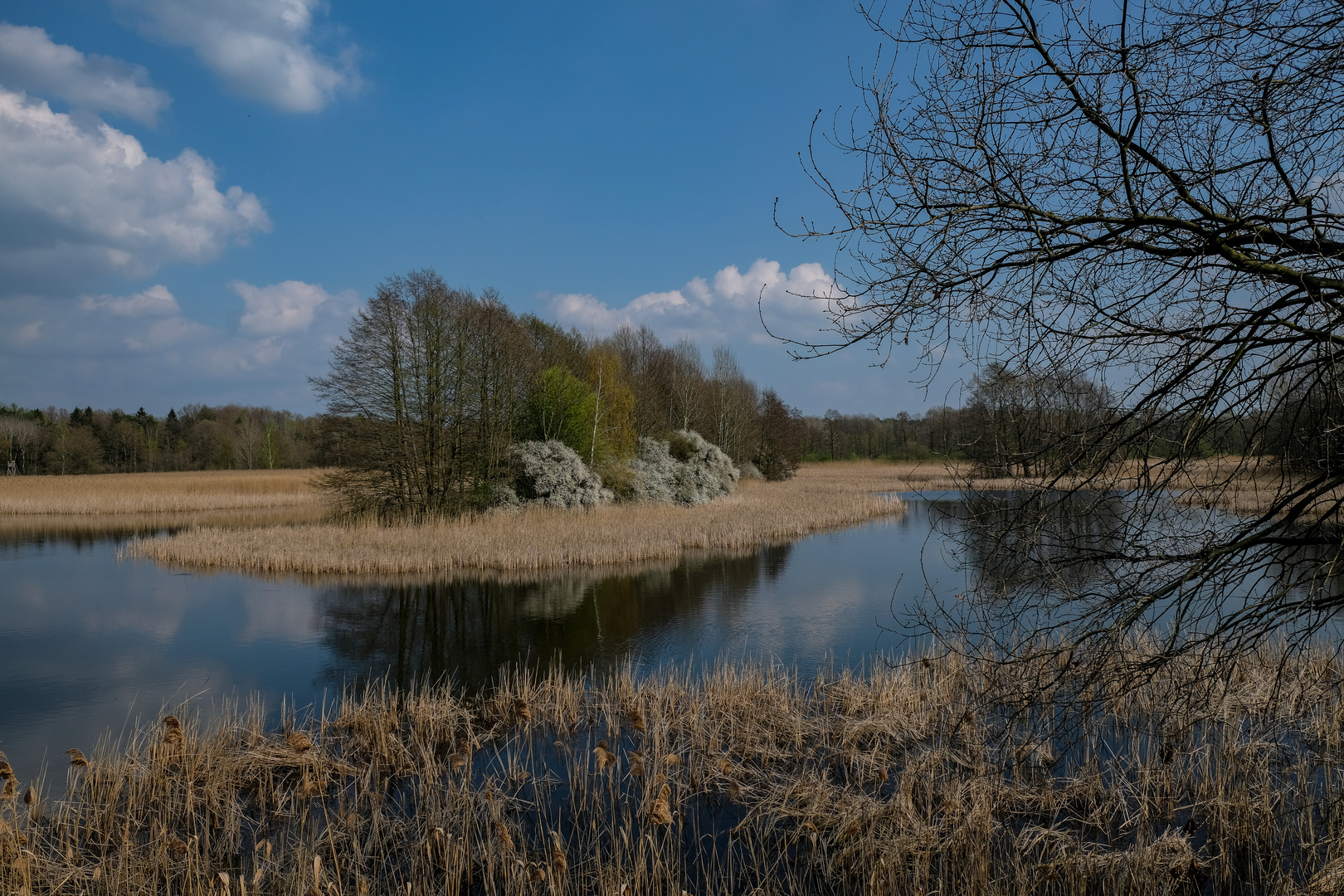 Lausitzer Teichlandschaft