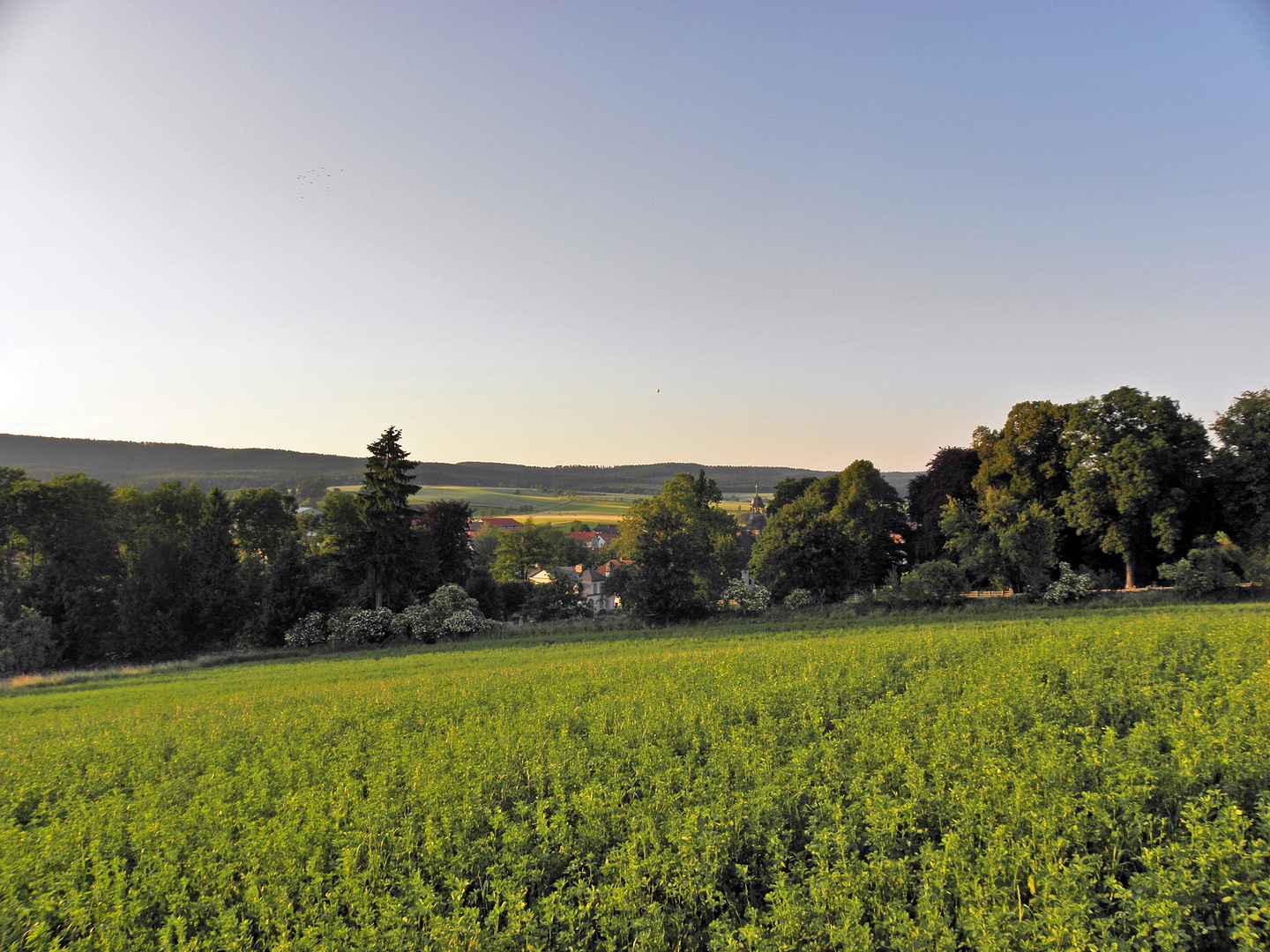 Lausnitz bei Neutadt/Orla