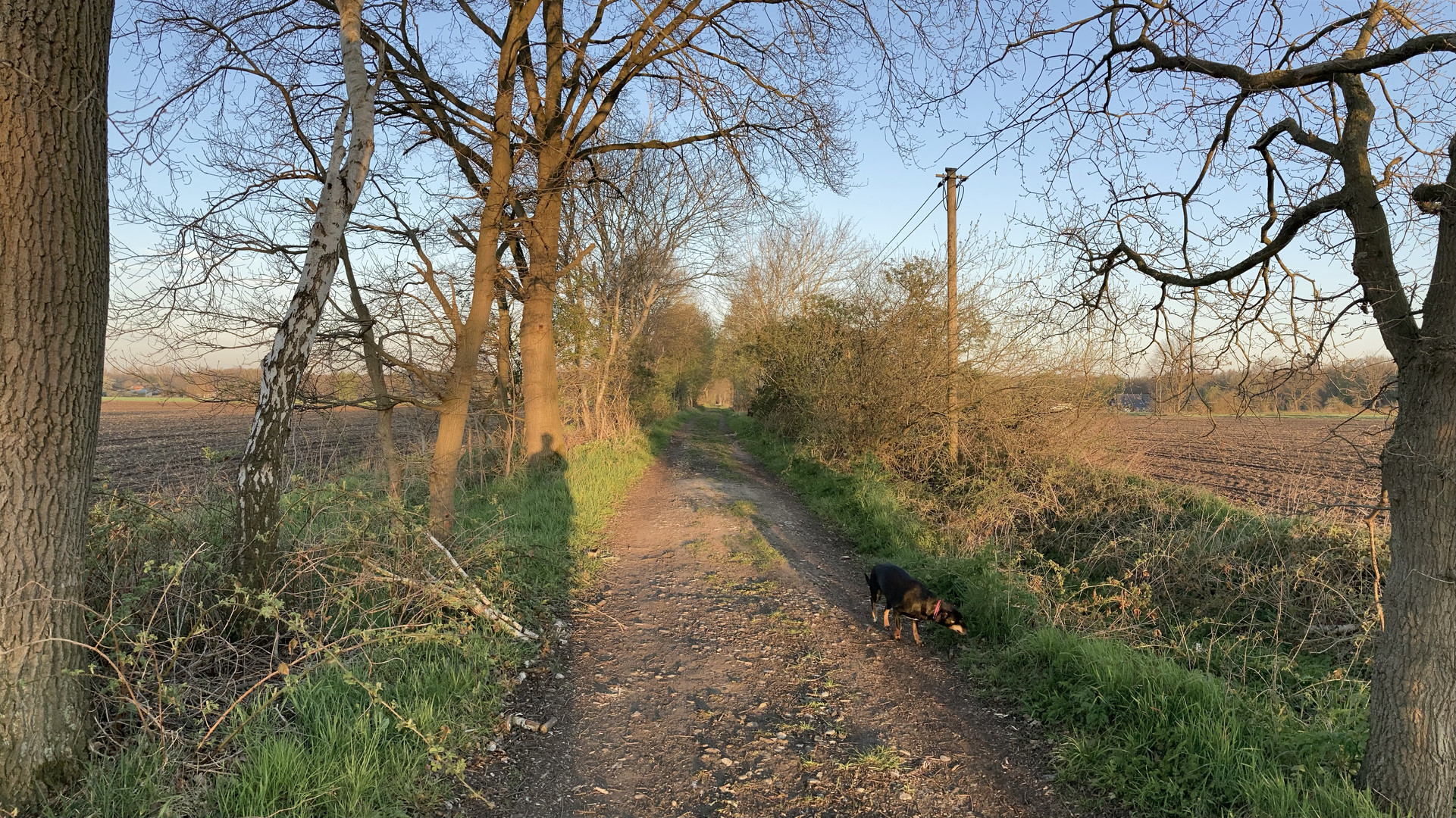 Laut Anwohneraussage Wolfsgebiet, ich möge Hund nicht allzuweit laufen lassen.