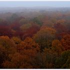 laut wetterbericht...