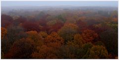 laut wetterbericht...