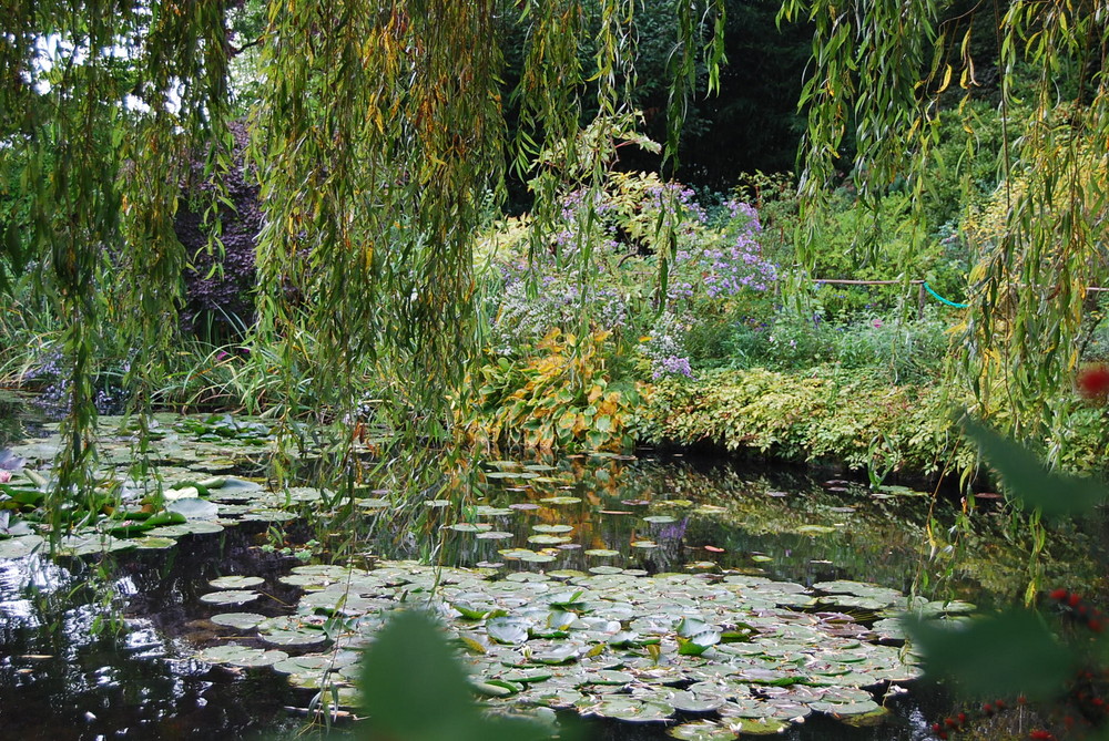 l'autaomne chez monsieur Monet