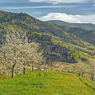 Lautenbach im Schwarzwald