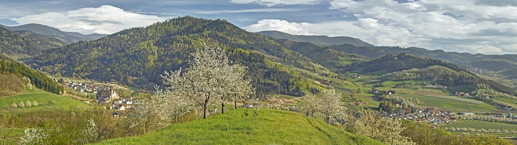 Lautenbach im Schwarzwald