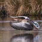 "Lauter Abflug"