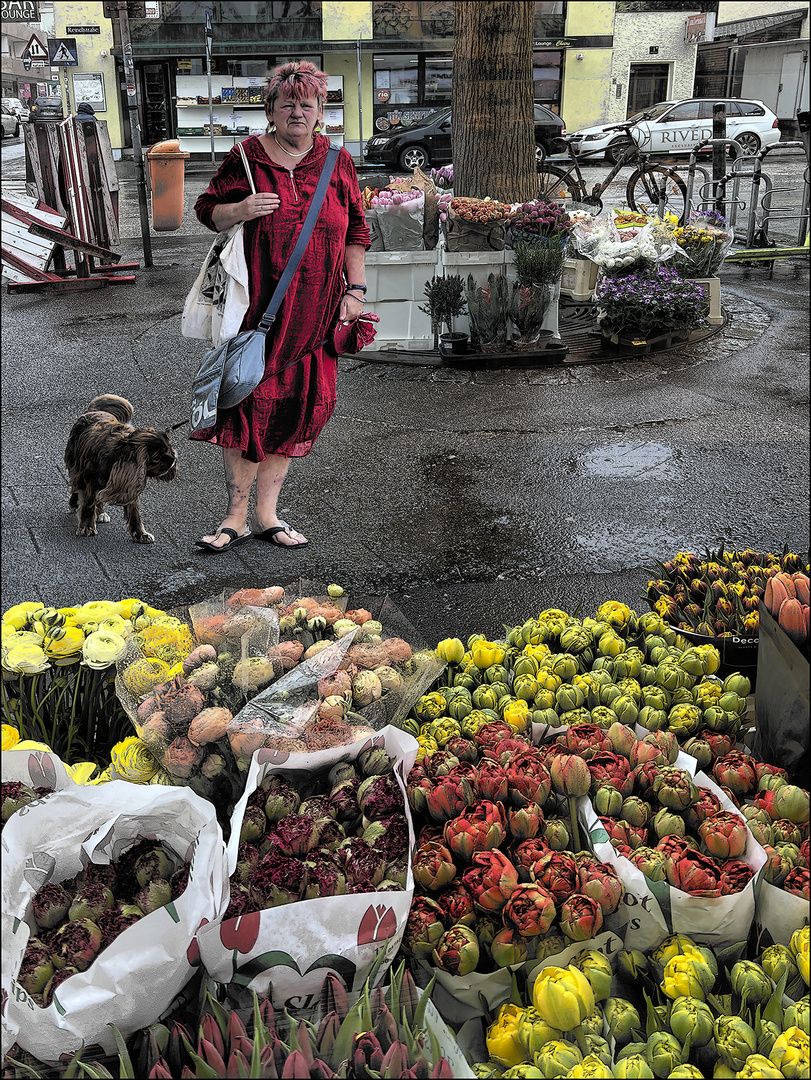 lauter Blumen !