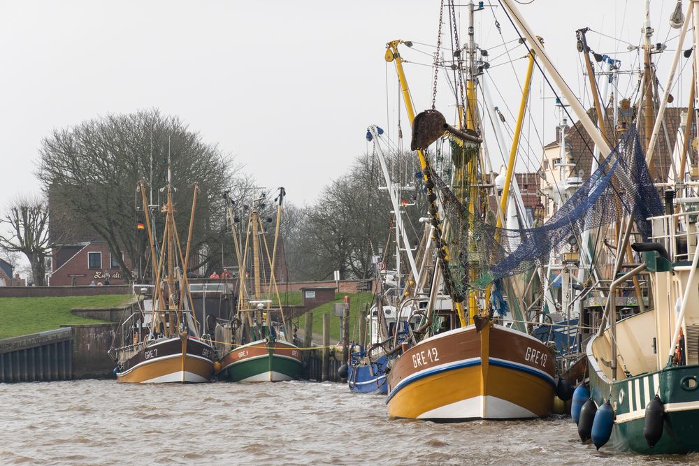 Lauter GREs im Sielhafen