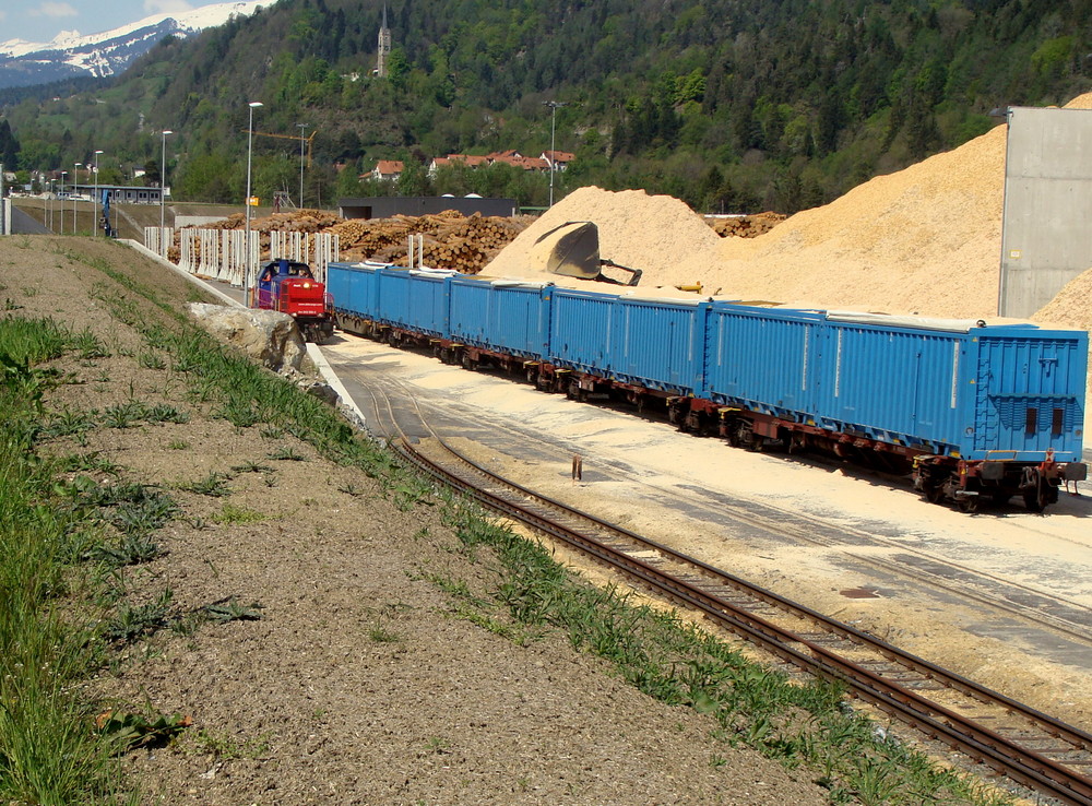 Lauter Holzschnitzel.01