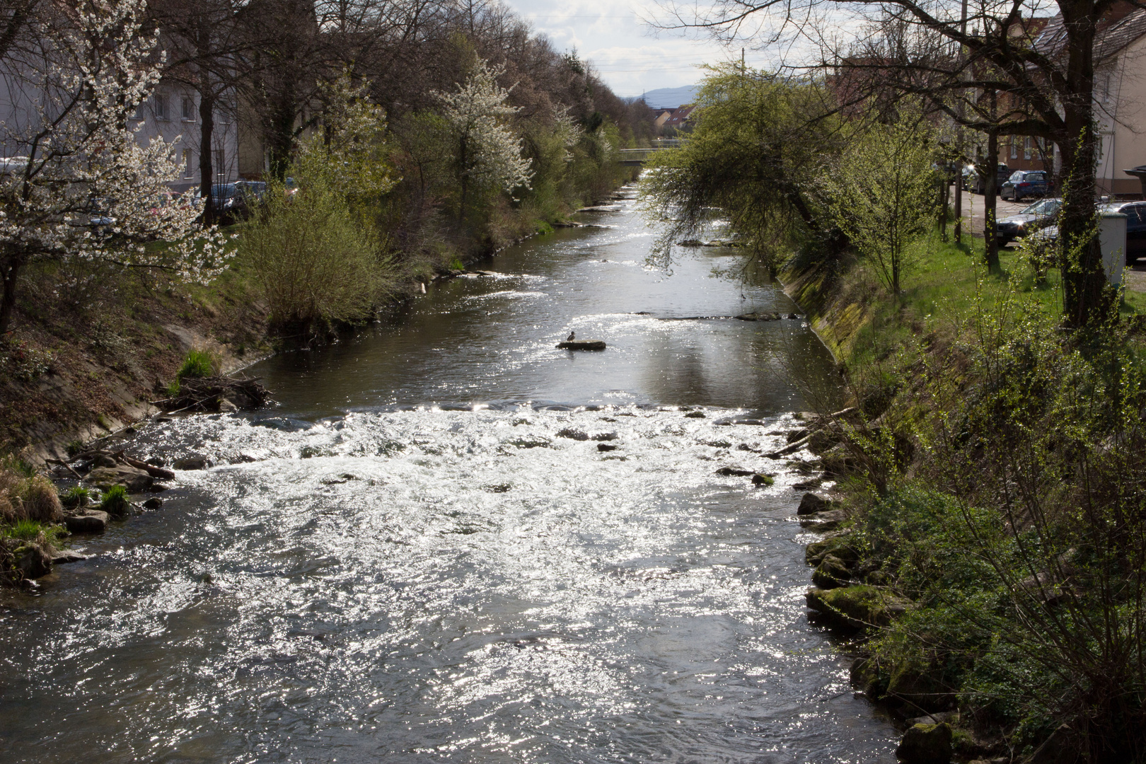 Lauter in Wendlingen am Neckar