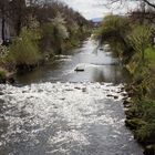 Lauter in Wendlingen am Neckar