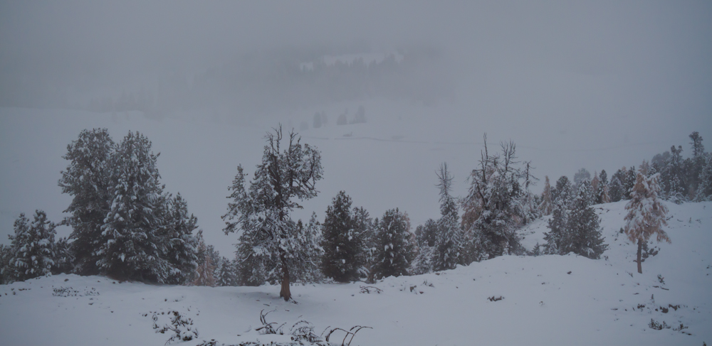 Lauter Nebel und Schnee