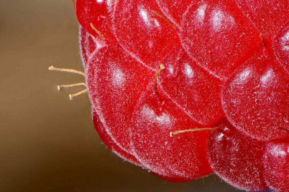 Lauter rote Punkte