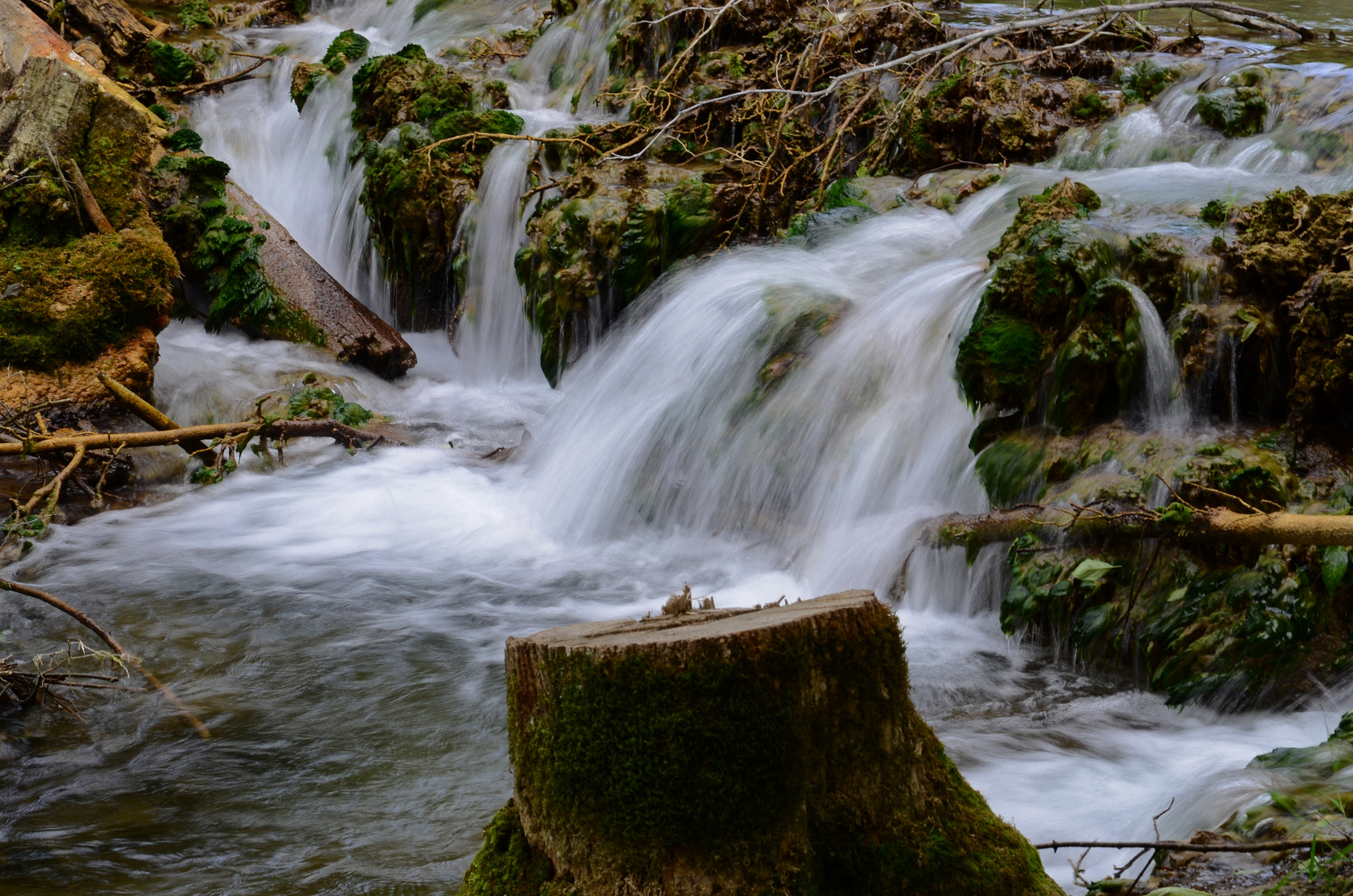 lauter Wasser