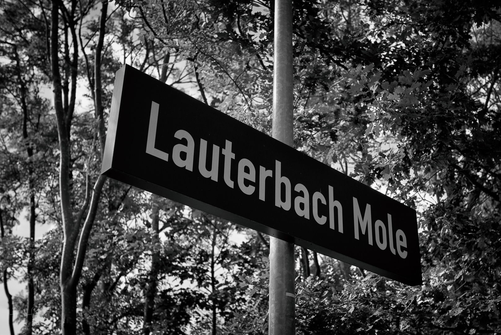 Lauterbach 