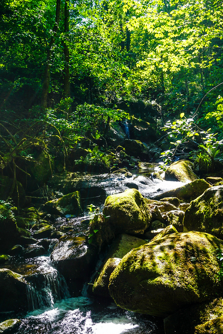 Lauterbacher "Wasserfall"