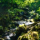 Lauterbacher "Wasserfall"