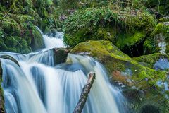 Lauterbachwasserfall bei Schramberg