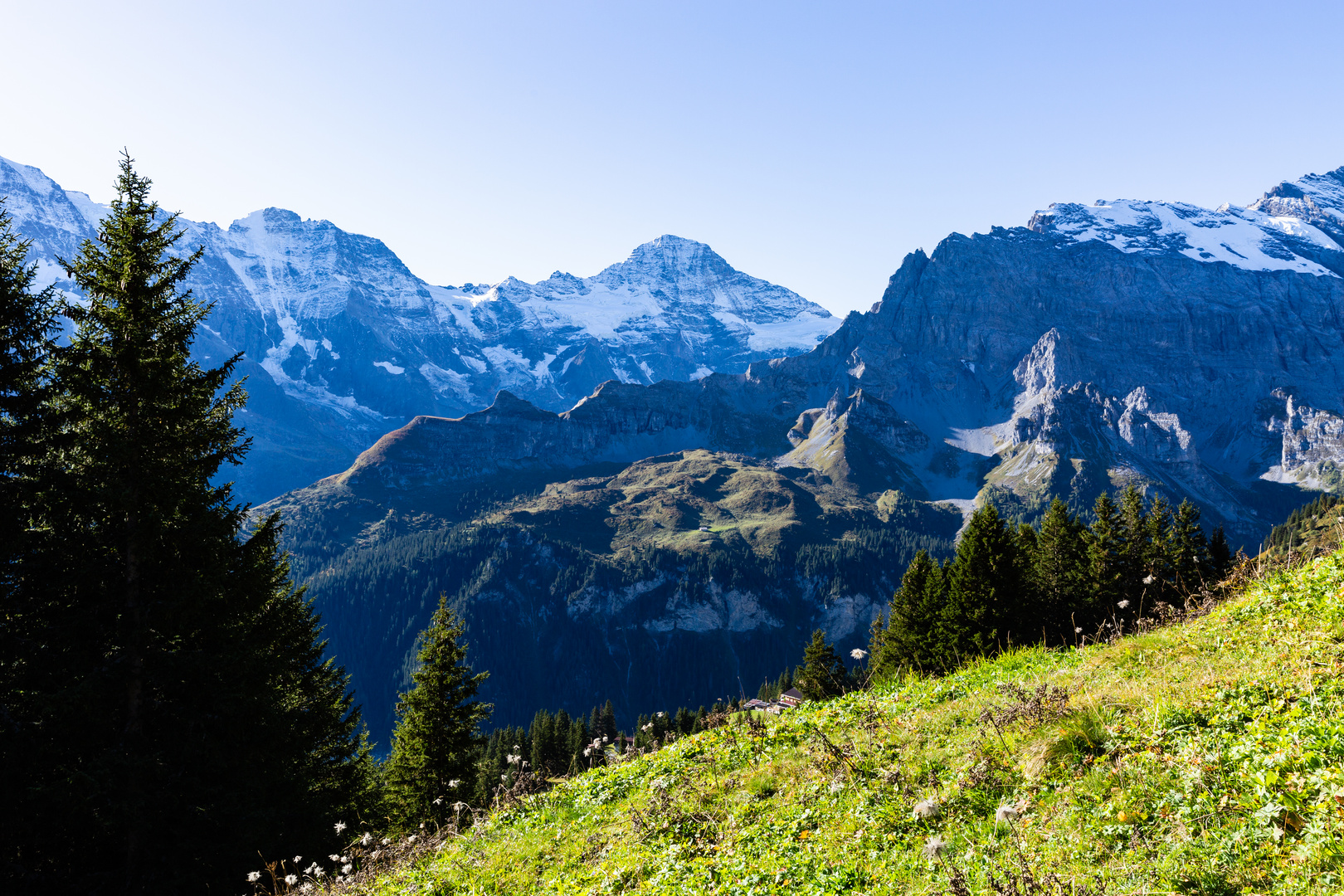 Lauterbrunnental mit Breithorn und Grosshorn (1)