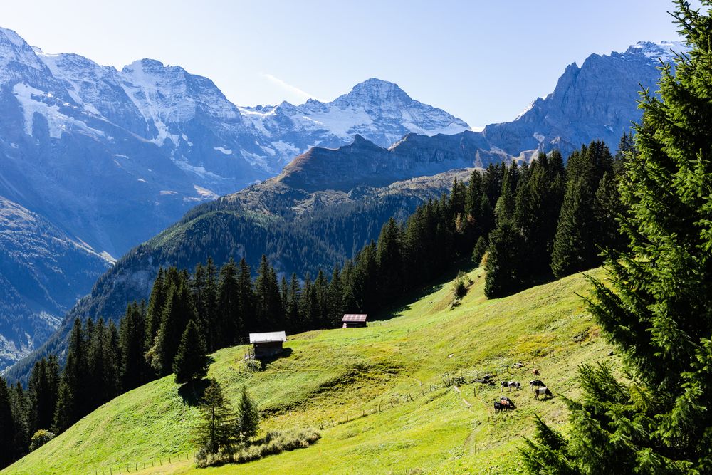 Lauterbrunnental mit Breithorn und Grosshorn (2)