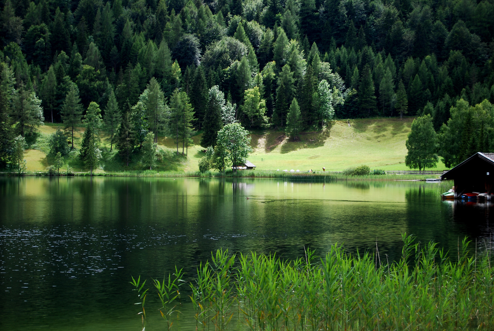 Lautersee