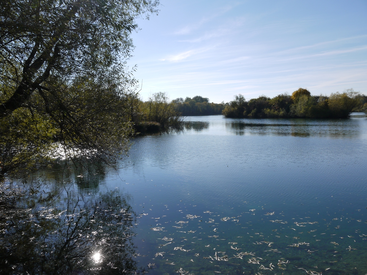 Lautersee