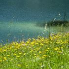 Lautersee