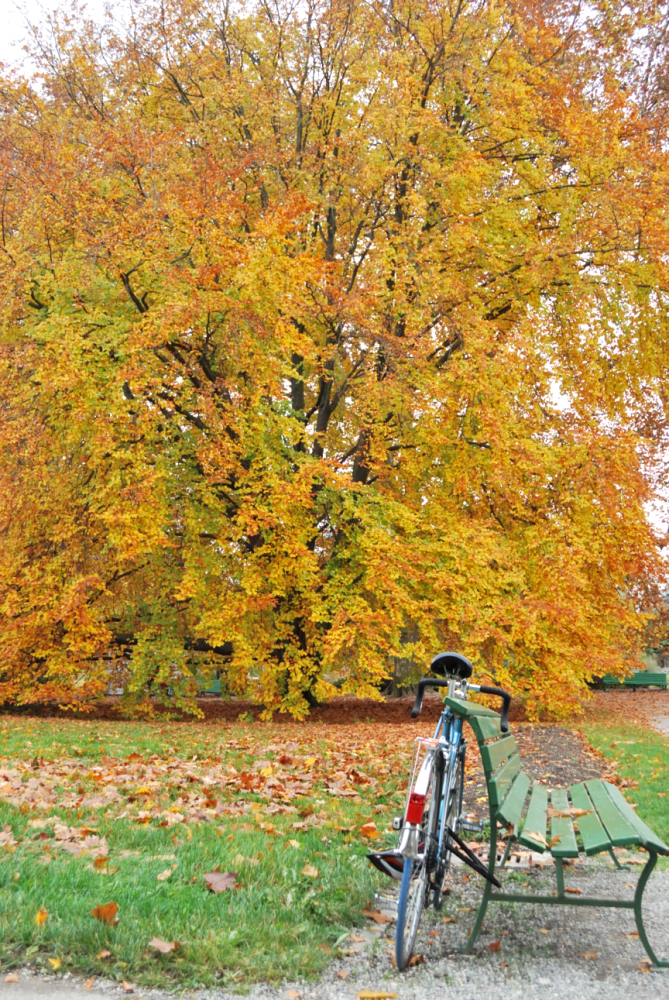 L'automne