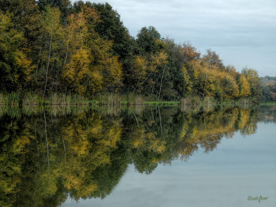 L'automne