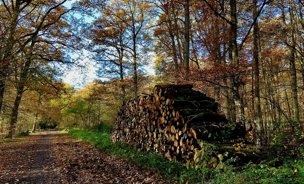 "  L'AUTOMNE "
