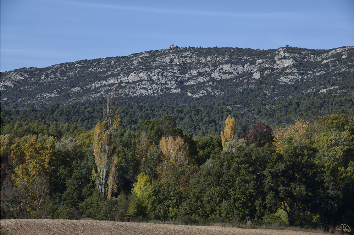 L'automne 