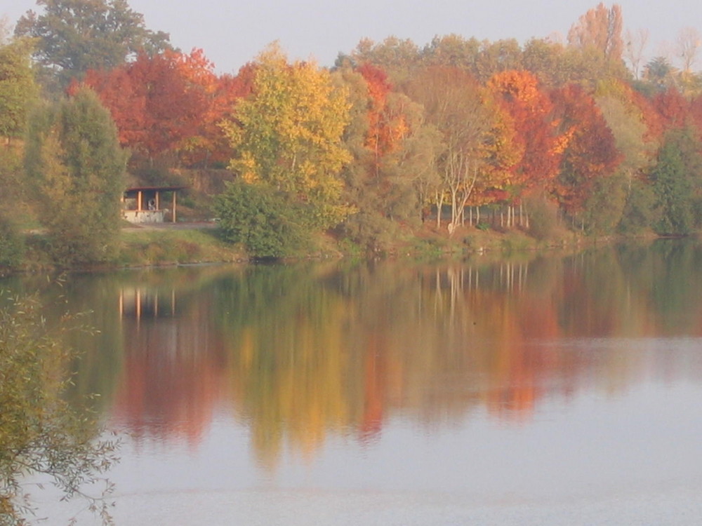 l'automne