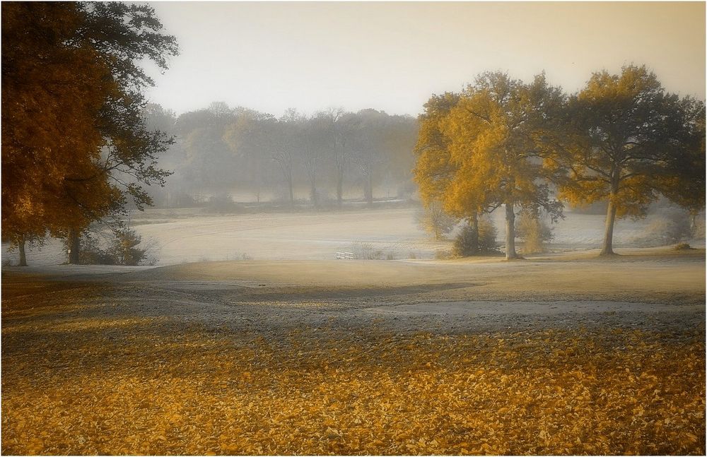 l'automne