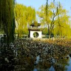 L'automne a Beijing