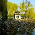 L'automne a Beijing