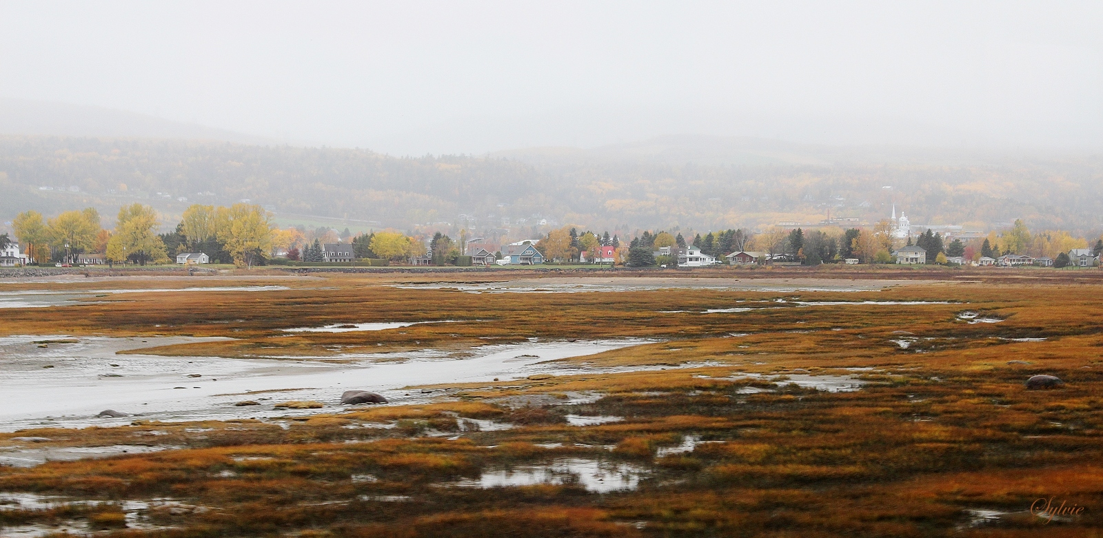 L'automne à bord du petit train léger de Charlevoix # 2