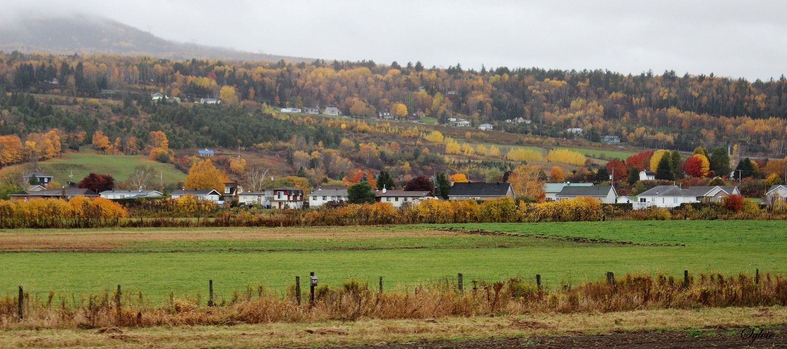 L'automne à bord du petit train léger de Charlevoix # 4 