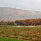 L'automne à bord du petit train léger de Charlevoix # 6