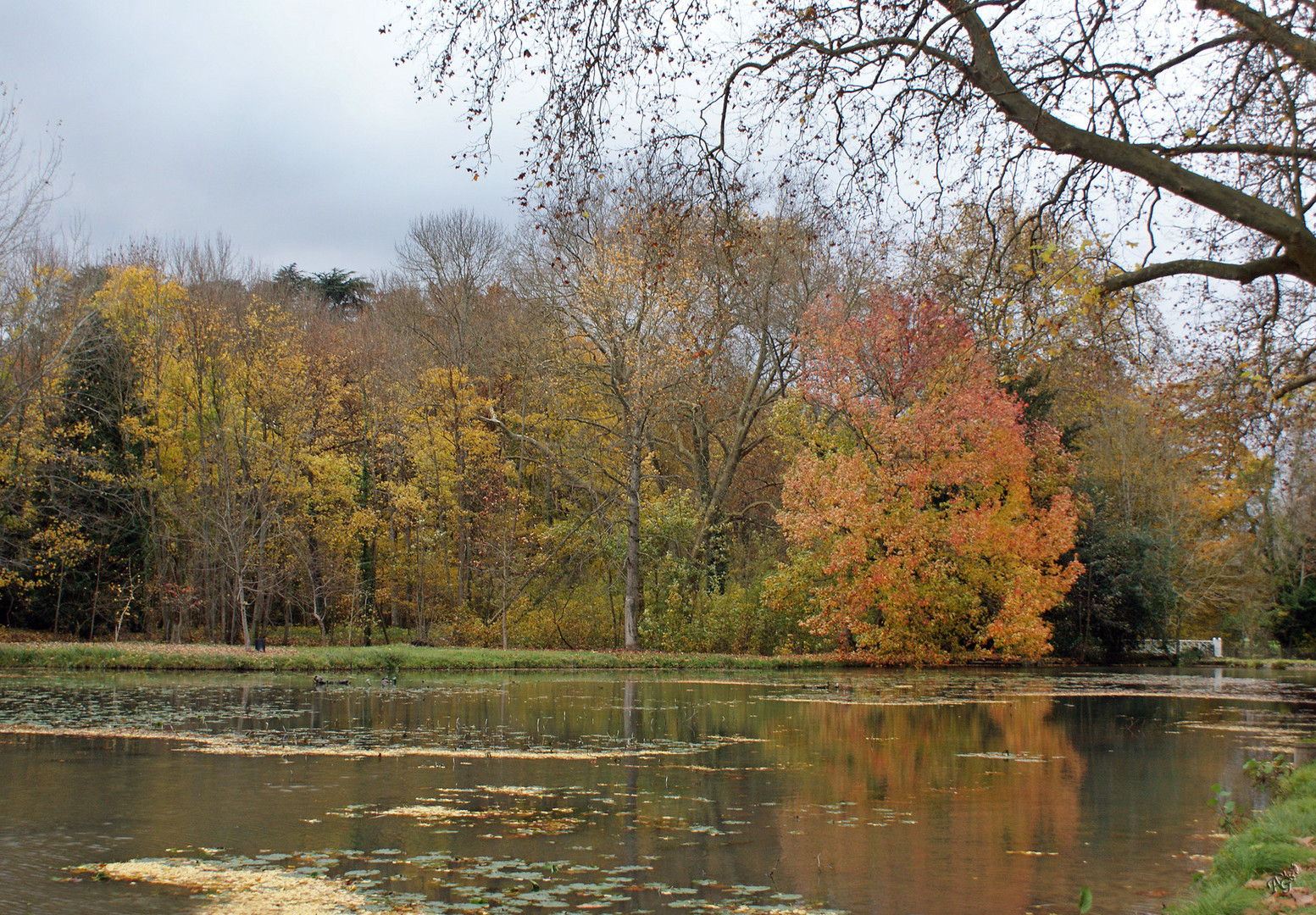 L'automne à CHEVERNY