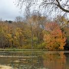 L'automne à CHEVERNY