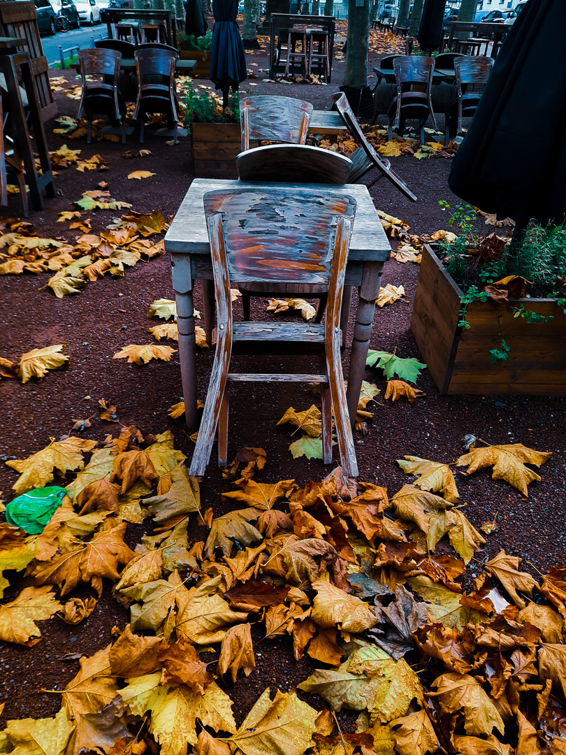 L'automne à Düsseldorf 