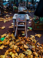 L'automne à Düsseldorf 