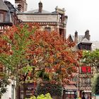 L'automne à Honfleur