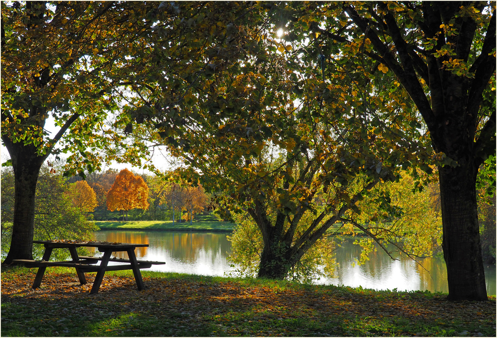 L’automne à la base de loisirs de Gauge à Condom