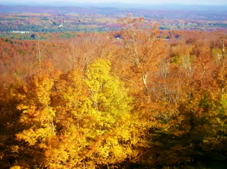 L'automne à Magog