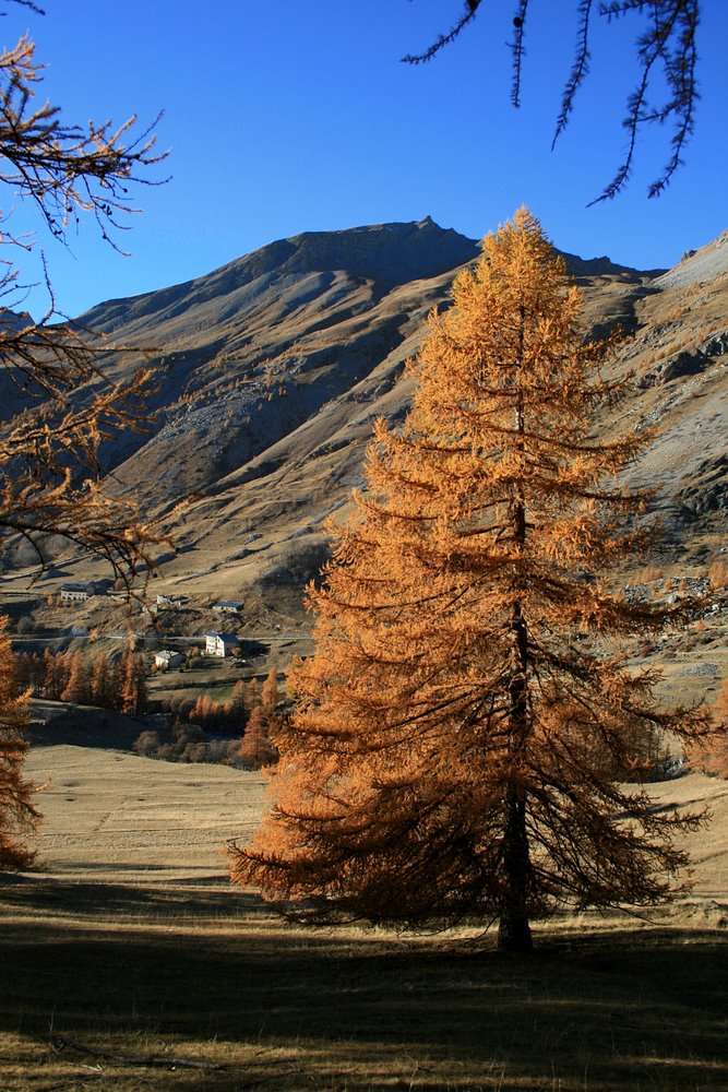 L'automne à Maljasset