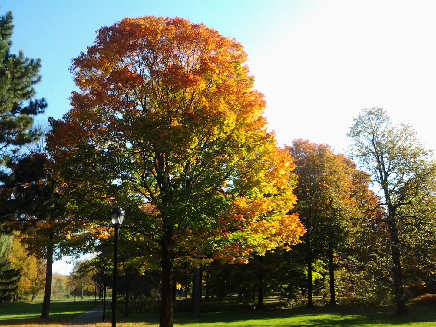 L'automne à Montréal